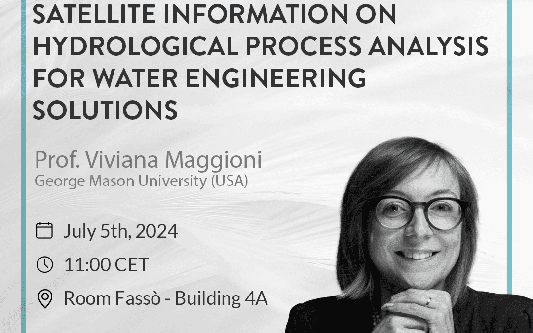 From local to large scale resolution: the impact of satellite information on hydrological process analysis for water engineering solution